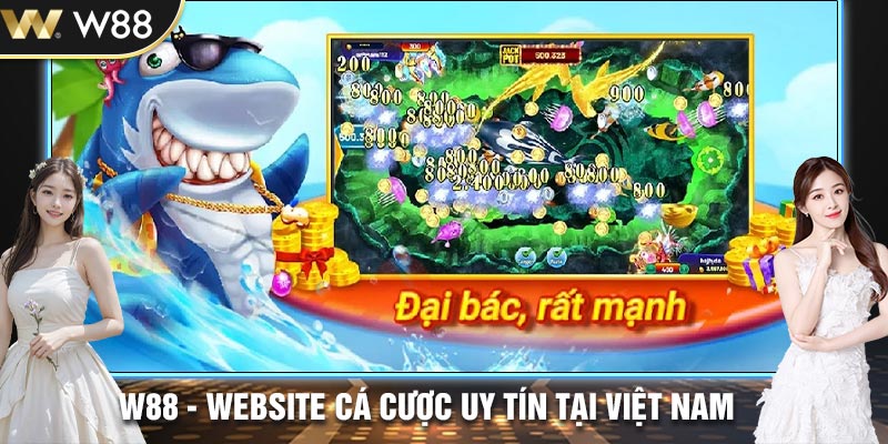 Bắn cá W88 đầu tư rất nhiều thời gian và nguồn lực vào việc phát triển