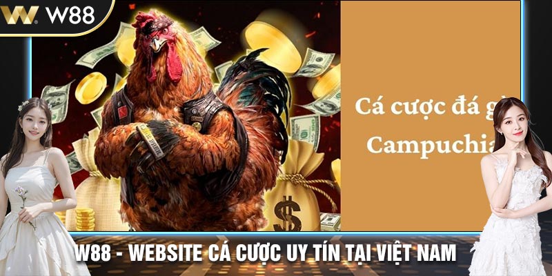 Nhà cái cung cấp kèo cược cho đá gà Campuchia